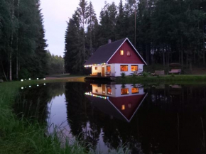 Private countryhouse with sauna